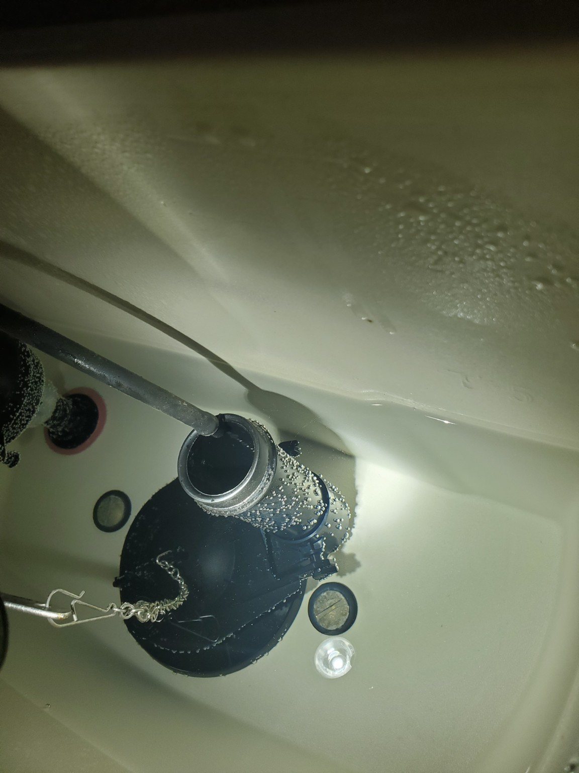 Customer Service Inspection Findings