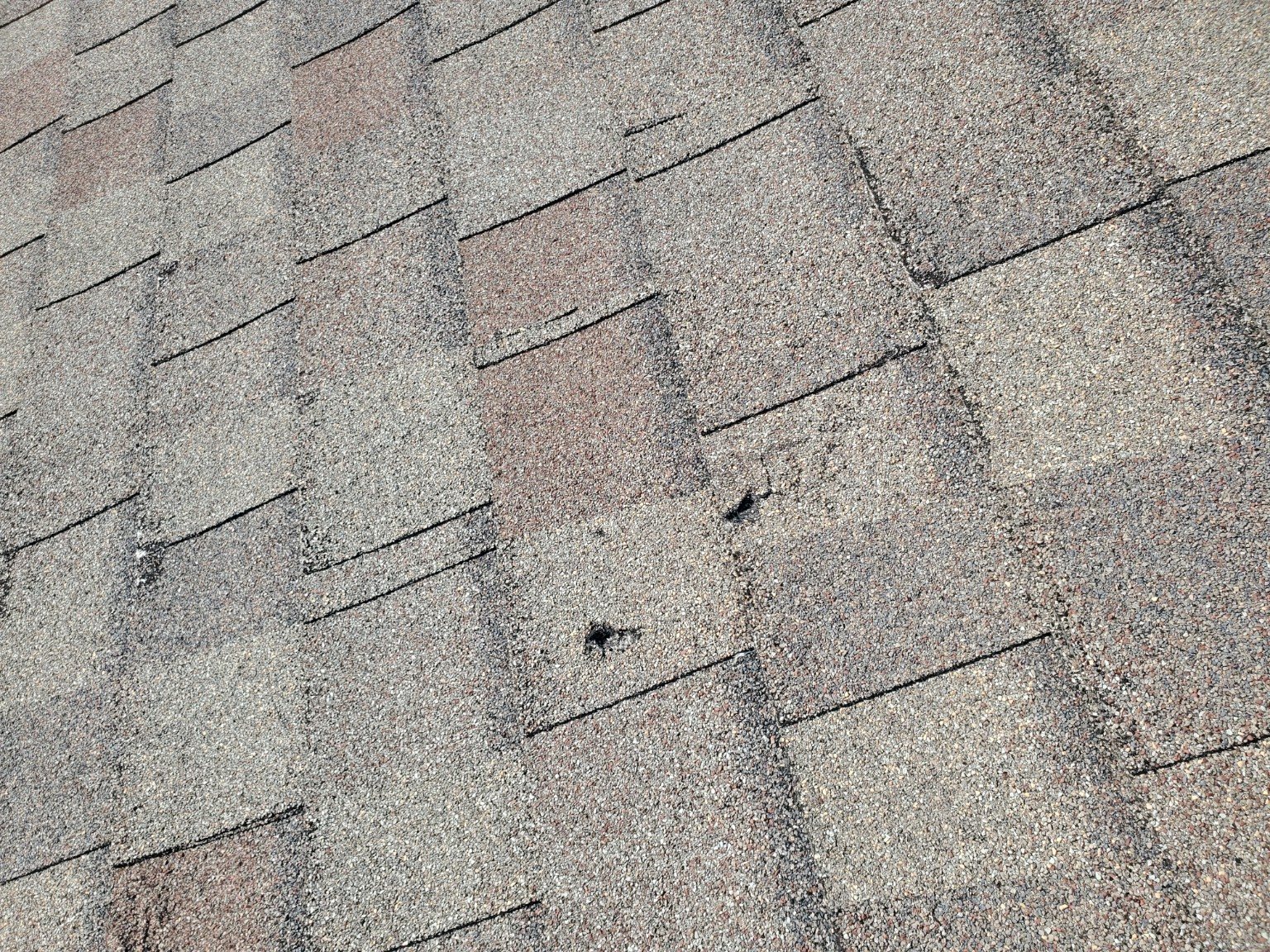 Roof Inspection