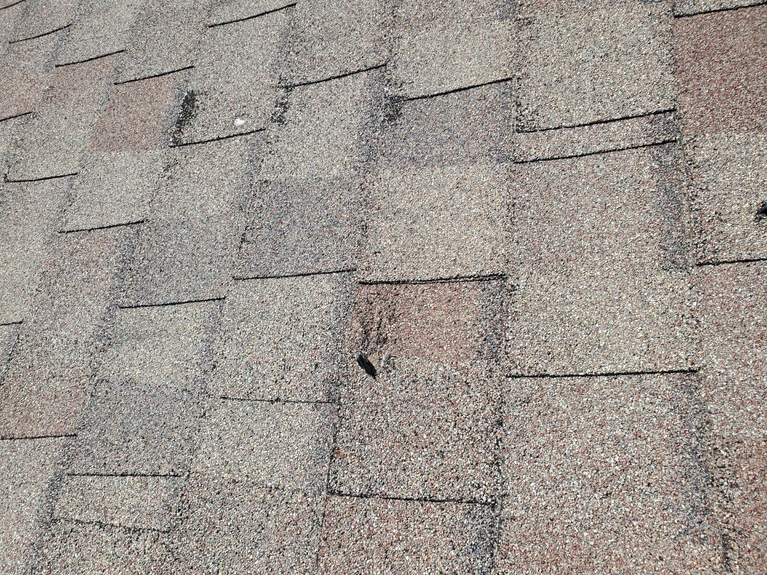 Roof Inspection