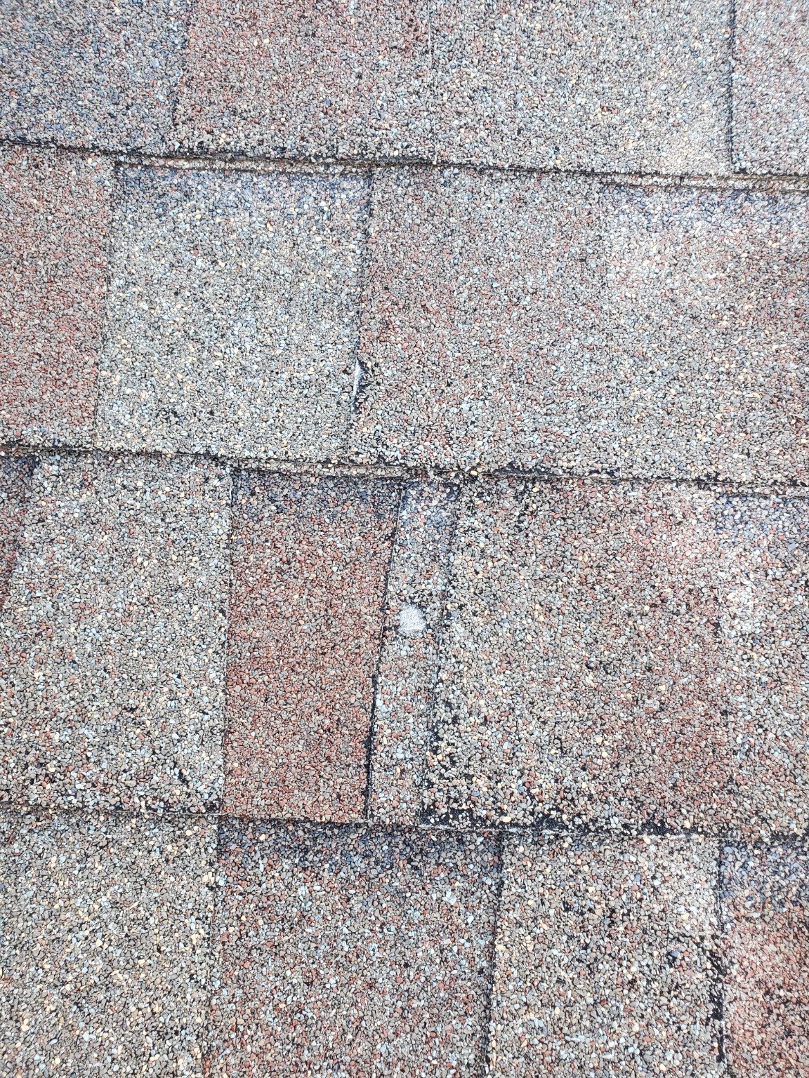 Roof Inspection